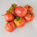 331 Yoshkin Cat Tomato, 5 Seeds