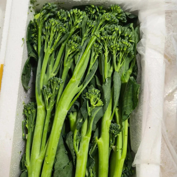 W962 Jie Mei Sprouting Broccoli, 1 Gram ≈ 200 Seeds