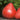 Elegant Goddess Tomato, 5 Seeds