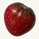 11 Emerald Treasury Tomato, 5 Seeds