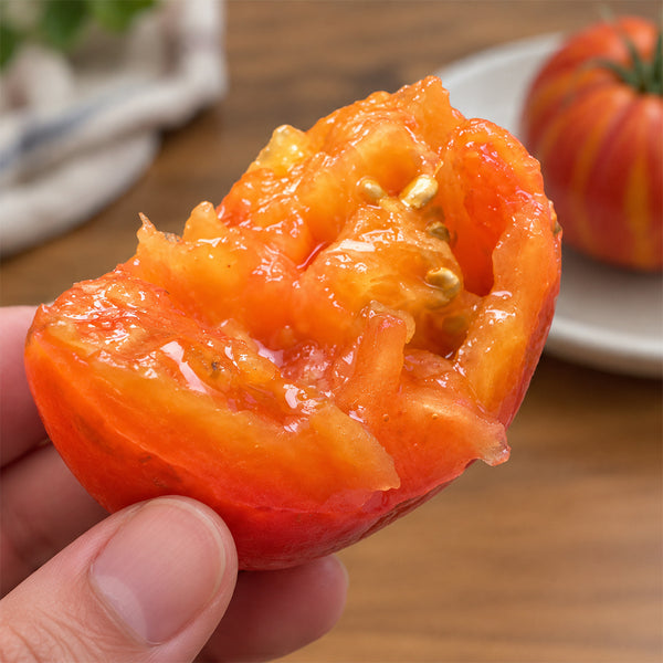 128 Lightning Giant Tomato, 5 Seeds