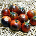 Clackamas Blueberry Indigo Tomato, 15 Seeds