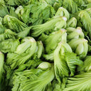 'Jiemei' No.11 Wrapped-head Mustard Seeds, 10g