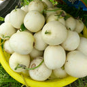 Shengyu No.1 F1 Melon, 200 Seeds