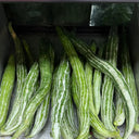 Argentina Snake Gourd, 10 Seeds