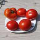 564 Clare Valley Red Tomato, 5 Seeds