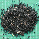 Mixed Color Grape Hyacinth, 50 Seeds