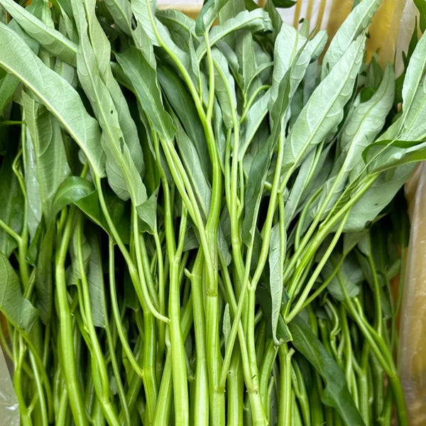 Bamboo Leaf Water Spinach Seeds, 30g
