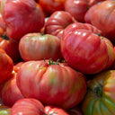 Pink Brandywine Tomato, 10 Seeds