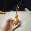Small Bottle Gourd, 10 Seeds