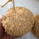 Man Tian Xing Gourd, 5 Seeds