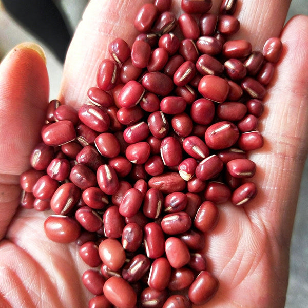 Xiangsi Red Bean, 50g