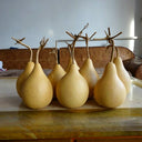 Dipper Gourd, 15 Seeds