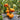 18 Marcy's Mystery Tomato, 5 Seeds