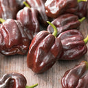 Chocolate Habanero, 5 Seeds