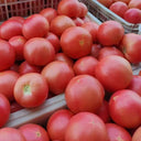 Hokkaido Fruit Tomato, 10 Seeds