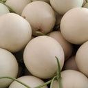 Super Sweet White Jade No.2 Melon Seeds, 10g