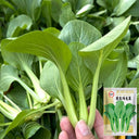 Jiemei Fast-growing Baby Bok Choy Seeds, 20g