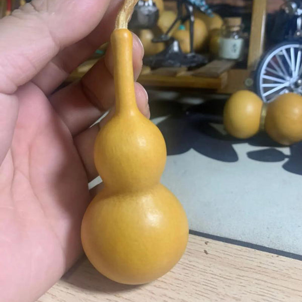 Tianjin Mouth Gourd, 10 Seeds