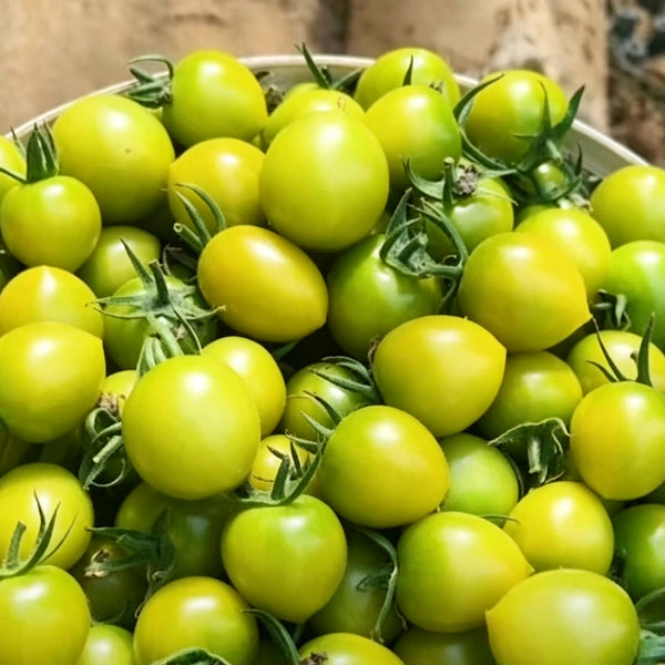 Dream Green Sweet 2 F1 Tomato, 5 Seeds