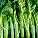 'Jiemei Thick Stem' Chinese Kale Seeds, 20g