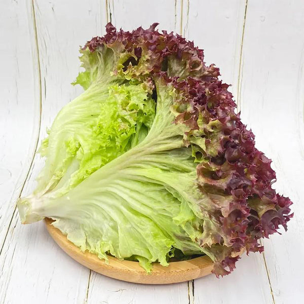 Red Leaf Romaine Lettuce Seeds, 5g