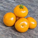 96 Cherokee Tiger Orange Dwarf Tomato, 5 Seeds