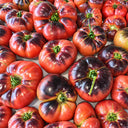 384 Sofia's Purple Apple Tomato, 5 Seeds