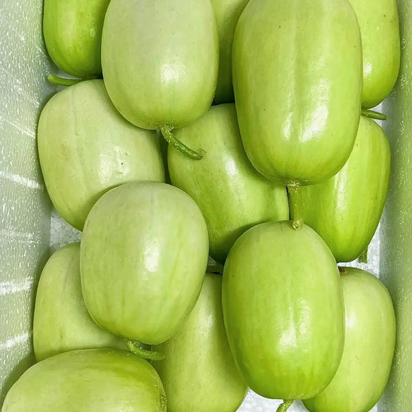 Jade Maiden Cucumber Seeds, 10 Seeds