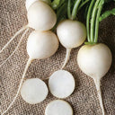 White Cherry Radish Hybrid Seeds, 50 Grams ≈ 5500 ~ 6500 Seeds