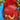 775 Reinhard's Purple Heart Tomato, 5 Seeds