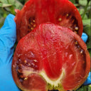 775 Reinhard's Purple Heart Tomato, 5 Seeds