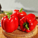 Red Lantern Sweet Pepper Seeds, 100 Seeds