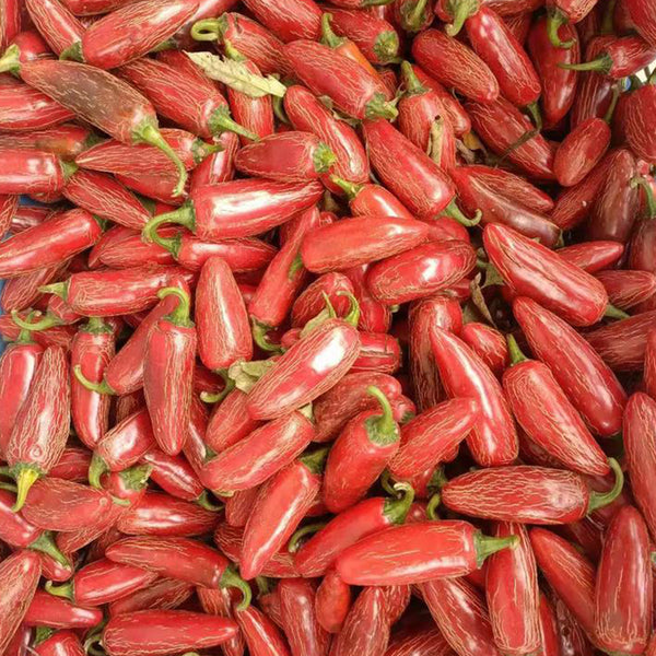 Sausage Pepper Seeds, 0.3g