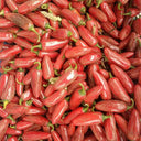 Sausage Pepper Seeds, 0.3g