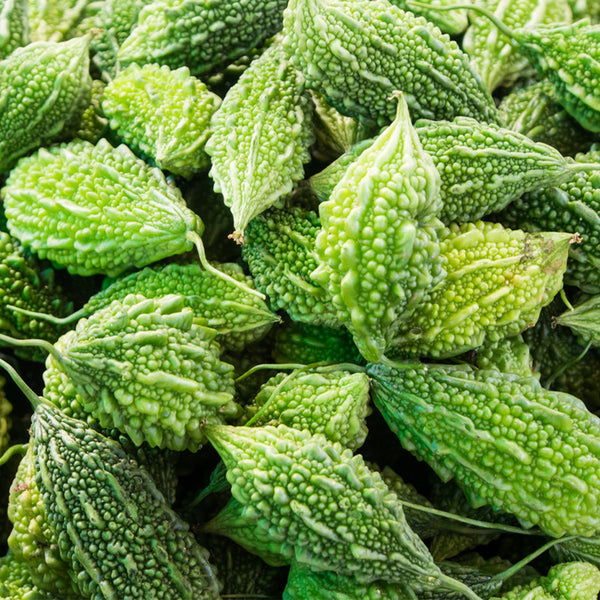 'Hei Wawa' Small Spiny Black Bitter Melon Seeds, 5 Seeds