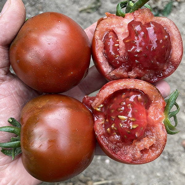 Chocolate Tomato, 100 Seeds