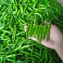Korean Green Chili Pepper, 20 Seeds