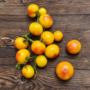 404 Little Sunburst Tomato, 5 Seeds