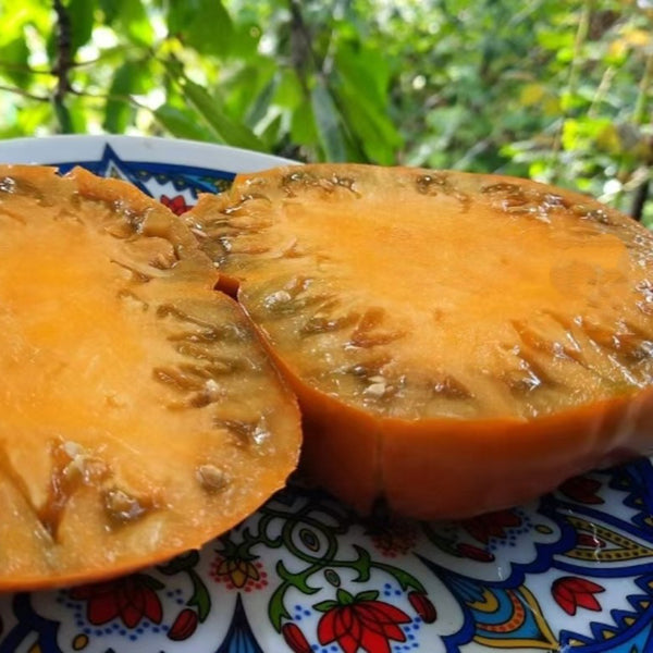 976 Caramel Lake Tomato, 5 Seeds
