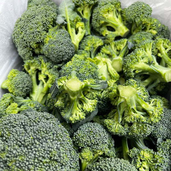 Japanese Broccoli Seeds, 100 Seeds