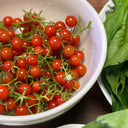 Red Currant Sweet Pea Tomato, 20~30 Seeds