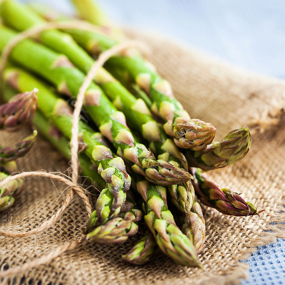 Organic Traditional Asparagus Seeds