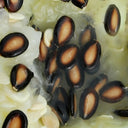 Large-seeded Watermelon Seeds,  20g