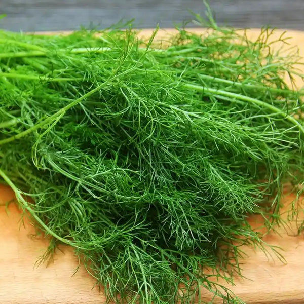 Multi-Harvest Fennel Seeds, 10g