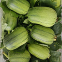 Taiwan Apple Luffa Seeds, 10g