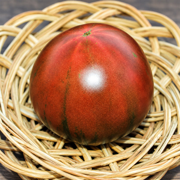 297 Perth Pride Dwarf Tomato, 5 Seeds