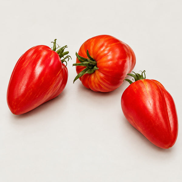 1125 Mrs. Houseworth Tomato, 5 Seeds