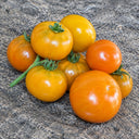 66 Dwarf Soul Patch Tomato, 5 Seeds