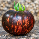 426 Queen of the Night Tomato, 5 Seeds